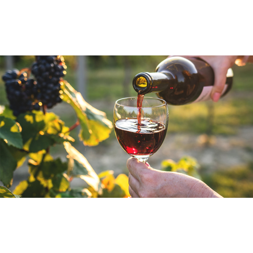 Cabernet Sauvignon